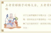 王者荣耀猴子攻略大全，王者荣耀猴子攻略