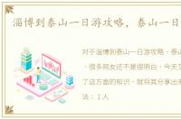 淄博到泰山一日游攻略，泰山一日游攻略