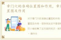 章门穴的准确位置图和作用，章门穴位位置图及作用