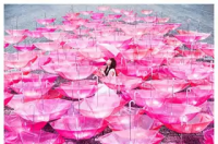 Aimer，日本女歌手、作词者