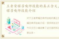 王者荣耀召唤师技能的真正含义，王者荣耀召唤师技能介绍
