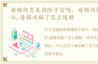 母猫绝育是摘除子宫吗，母猫闹猫什么症状,母猫闹猫了怎么缓解