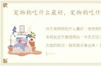 宠物狗吃什么最好，宠物狗吃什么好