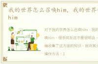 我的世界怎么召唤him，我的世界如何召唤him