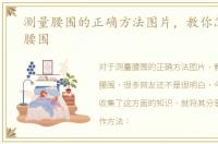 测量腰围的正确方法图片，教你怎么测量腰围