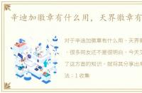 辛迪加徽章有什么用，天界徽章有什么用