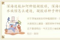 深海迷航如何种植凝胶球，深海迷航大型水族馆怎么建造，凝胶球种子种植