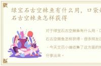 绿宝石古空棘鱼有什么用，口袋妖怪绿宝石古空棘鱼怎样获得