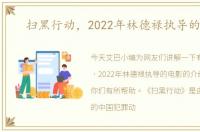 扫黑行动，2022年林德禄执导的电影