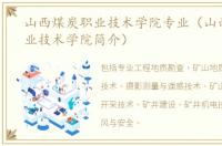 山西煤炭职业技术学院专业（山西煤炭职业技术学院简介）