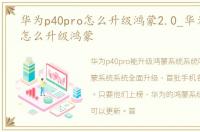 华为p40pro怎么升级鸿蒙2.0_华为p40pro怎么升级鸿蒙