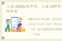 三星i6500u的介绍，三星I659参数配置详细参数