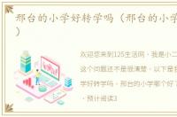 邢台的小学好转学吗（邢台的小学哪个好？）