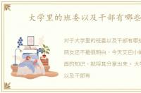 大学里的班委以及干部有哪些 1
