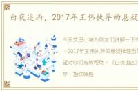 白夜追凶，2017年王伟执导的悬疑推理剧