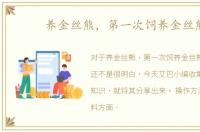 养金丝熊，第一次饲养金丝熊