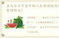 鱼与水不可分开的人生哲理短句？（人生哲理短句）