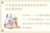 中兴通讯究竟是国企还是私企？（中兴通讯是国企吗）