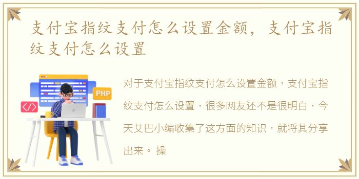 支付宝指纹支付怎么设置金额，支付宝指纹支付怎么设置