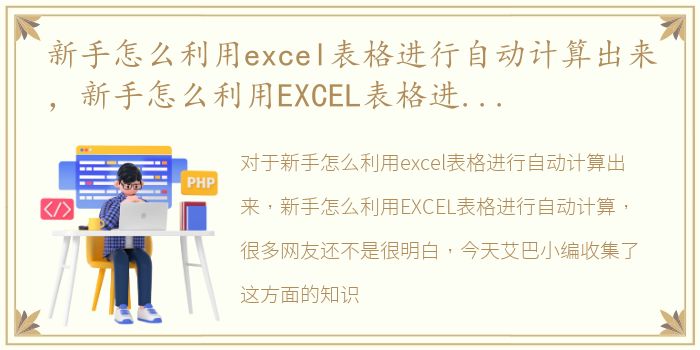 新手怎么利用excel表格进行自动计算出来，新手怎么利用EXCEL表格进行自动计算