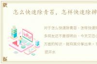 怎么快速除青苔，怎样快速除掉青苔