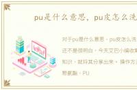 pu是什么意思，pu皮怎么洗