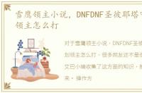 雪鹰领主小说，DNFDNF圣彼耶塔守护计划领主怎么打