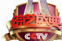 弦子，中国流行乐女歌手、演员