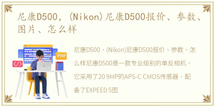 尼康D500，(Nikon)尼康D500报价、参数、图片、怎么样