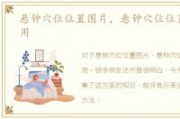 悬钟穴位位置图片，悬钟穴位位置图和作用