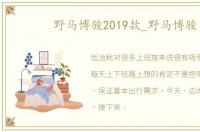 野马博骏2019款_野马博骏