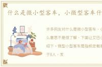 什么是微小型客车，小微型客车什么意思
