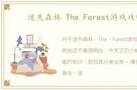 迷失森林 The Forest游戏攻略