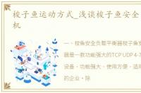 梭子鱼运动方式_浅谈梭子鱼安全负载均衡机