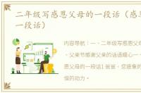 二年级写感恩父母的一段话（感恩父亲的一段话）