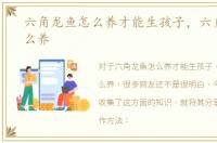 六角龙鱼怎么养才能生孩子，六角龙鱼怎么养