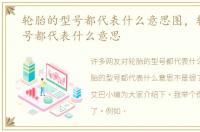 轮胎的型号都代表什么意思图，轮胎的型号都代表什么意思