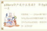 p30pro停产是什么原因？ 华为p30pro骂声一片
