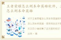 王者荣耀怎么测本命英雄软件，王者荣耀怎么测本命英雄