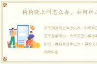 狗狗晚上叫怎么办，如何纠正