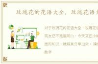玫瑰花的花语大全，玫瑰花语大全