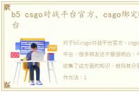 b5 csgo对战平台官方，csgo绑定B5对战平台
