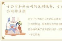子公司和分公司的区别税务，子公司和分公司的区别