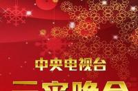 王小玮，中国内地女歌手、双排键演奏家