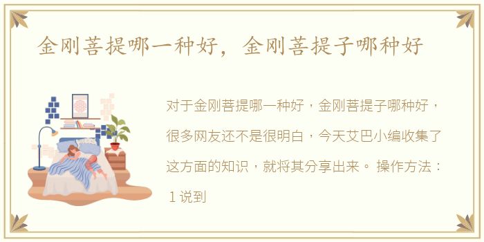 金刚菩提哪一种好，金刚菩提子哪种好