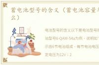 蓄电池型号的含义（蓄电池容量单位是什么）