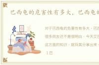 巴西龟的危害性有多大，巴西龟的危害