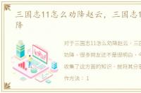 三国志11怎么劝降赵云，三国志11怎么劝降