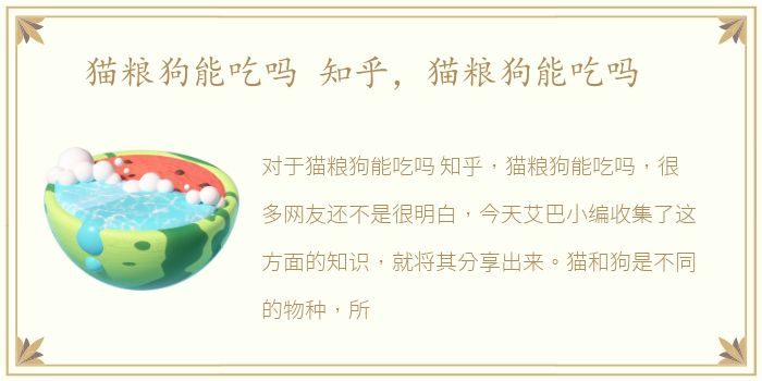 猫粮狗能吃吗 知乎，猫粮狗能吃吗