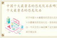 中国十大最著名的恐龙化石在哪里，中国十大最著名的恐龙化石